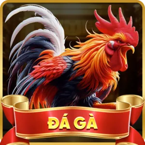 Kiểm tra thực tế